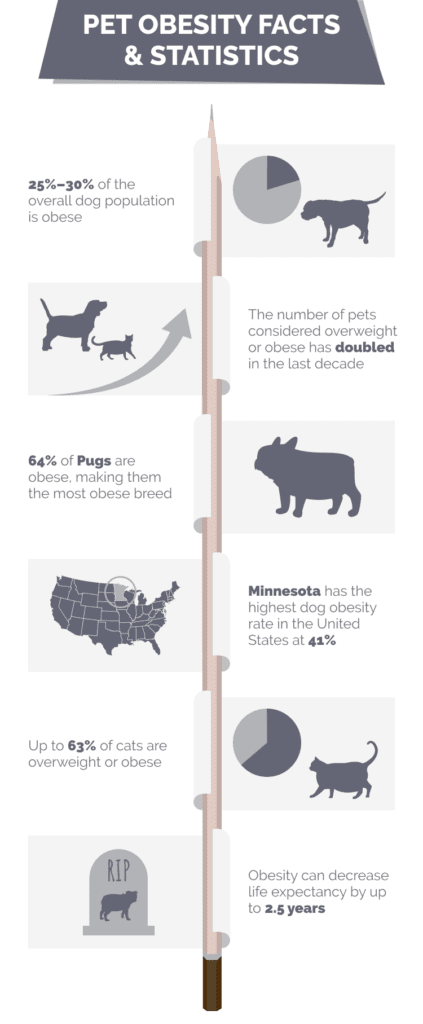 Image showcasing 10 Shocking Pet Obesity Statistics & Facts: Updated In 2026 | Hepper ...
