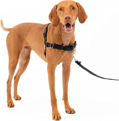 PetSafe easy walk dog harness