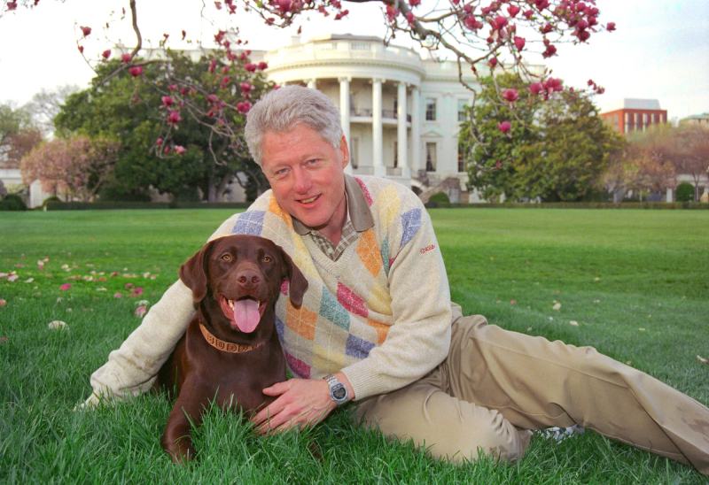 President Clinton’s Dog, Buddy