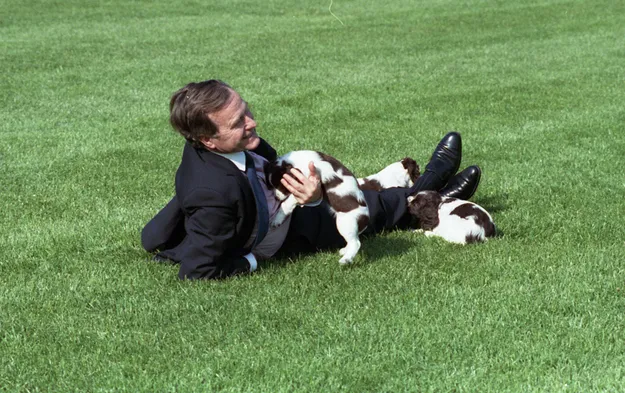 President George H.W. Bush’s Dog, Millie