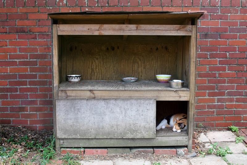 Stray cat shelter with food bowls on top