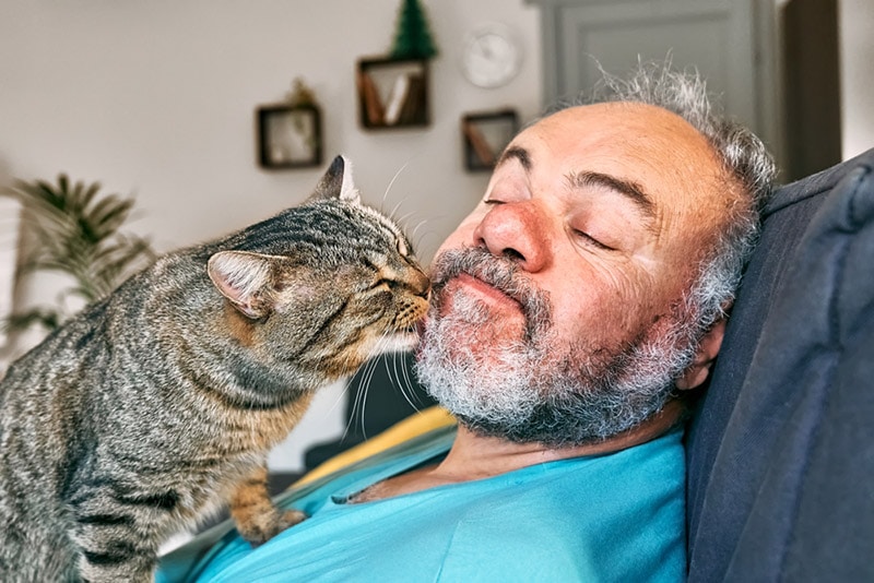 cat licking the face of bearded man