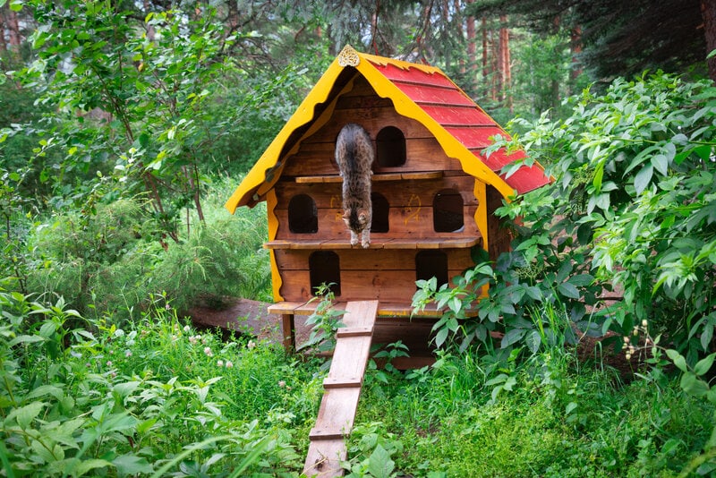 cat shelter, off the ground in garden