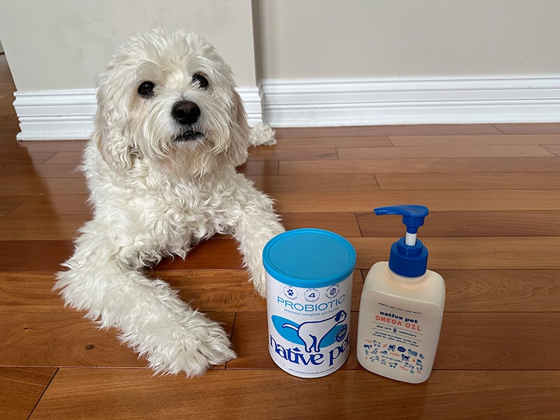 dog lying next to native pet products