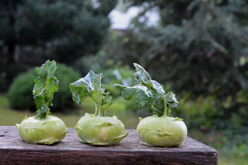 kohlrabi