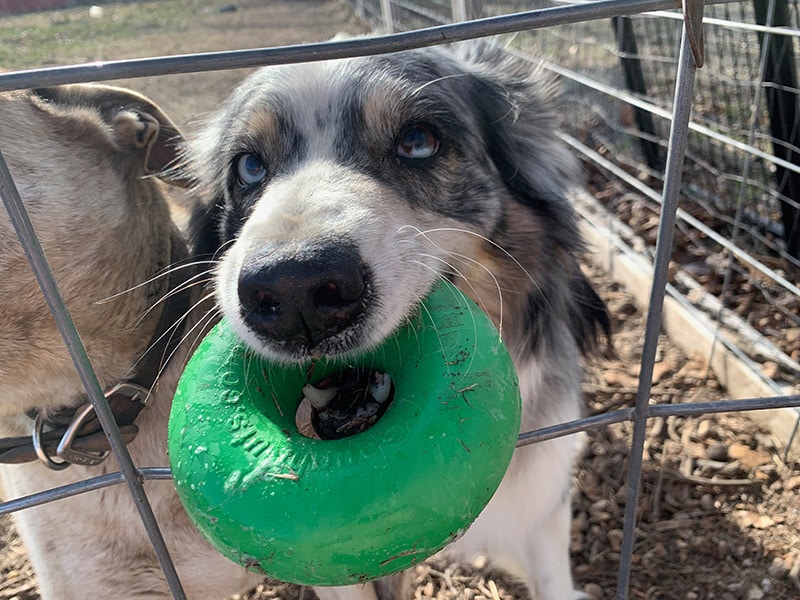 luka playing with the goughnut ring
