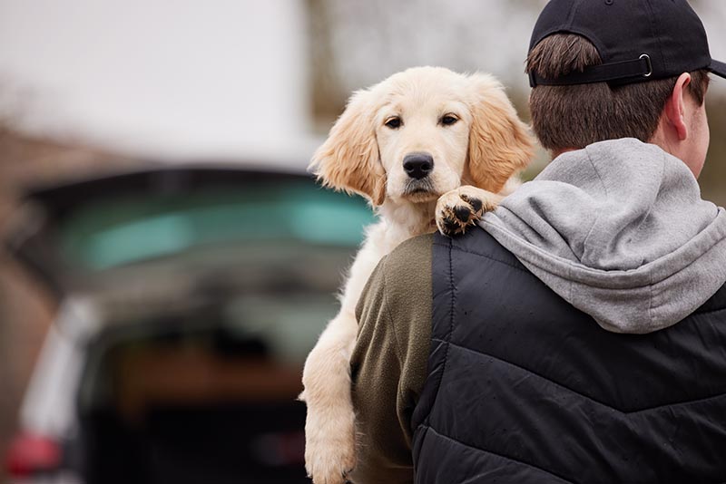 man stealing a puppy