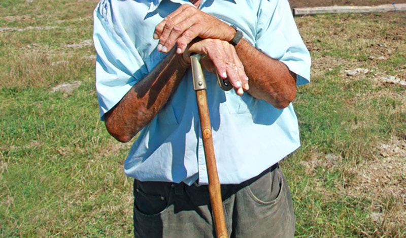 shepherd leaning on his sorting stick