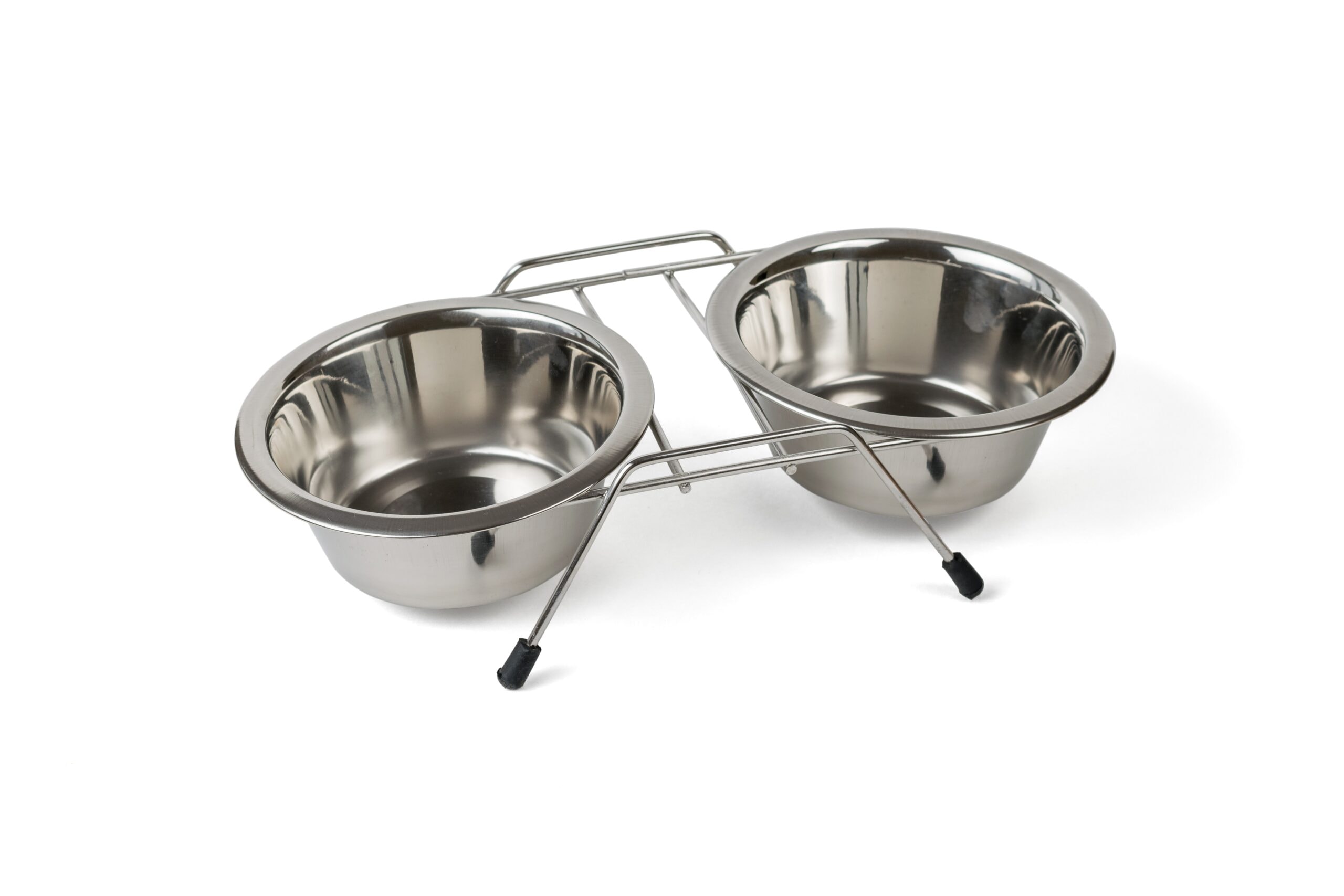 Raised stand water bowl stainless steel