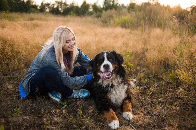 woman sitting with her bernese mountain dog outdoor