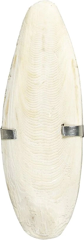 Caitec Featherland Paradise Cuttlefish Bone Bird Toy 