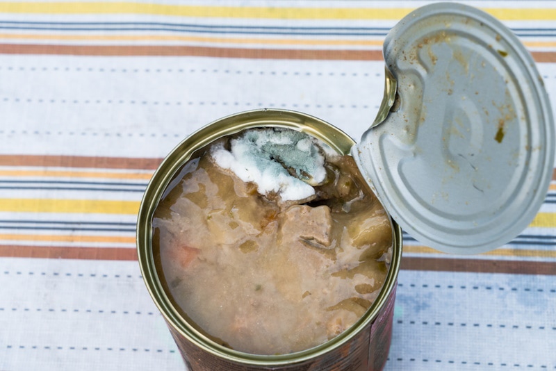 Canned dog food with damaged packaging