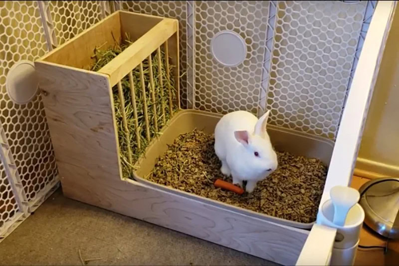 HP_8 Rabbit Litter Box Ideas