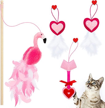 Lepawit Valentine’s Flamingo Feather