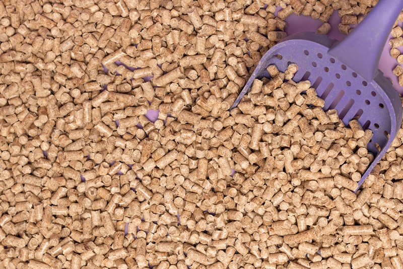 Rabbit Clay Litter