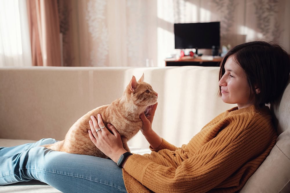 cat sitting on the lap of young woman