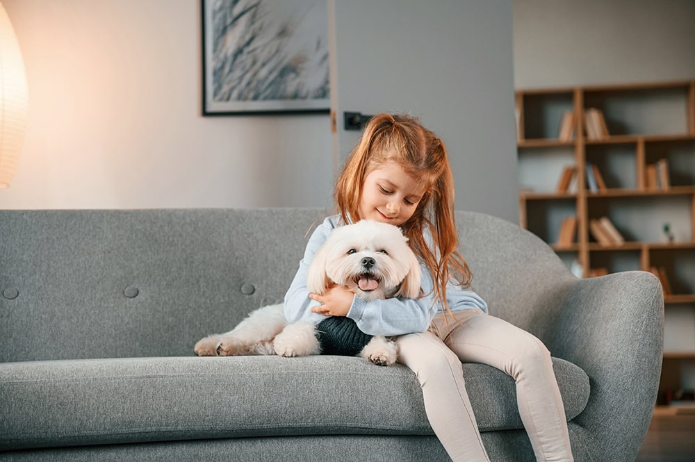 little girl hugging a maltese dog on the sofa