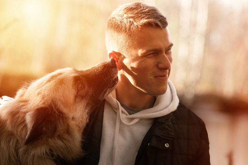 man playing with his belgian malinois dog outdoor