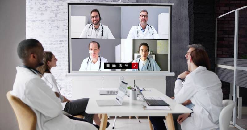 video meeting and webinar of veterinarians