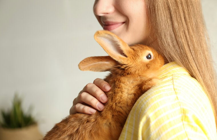 Why Do Rabbits Lick You? 12 Common Reasons | Hepper Pet Resources