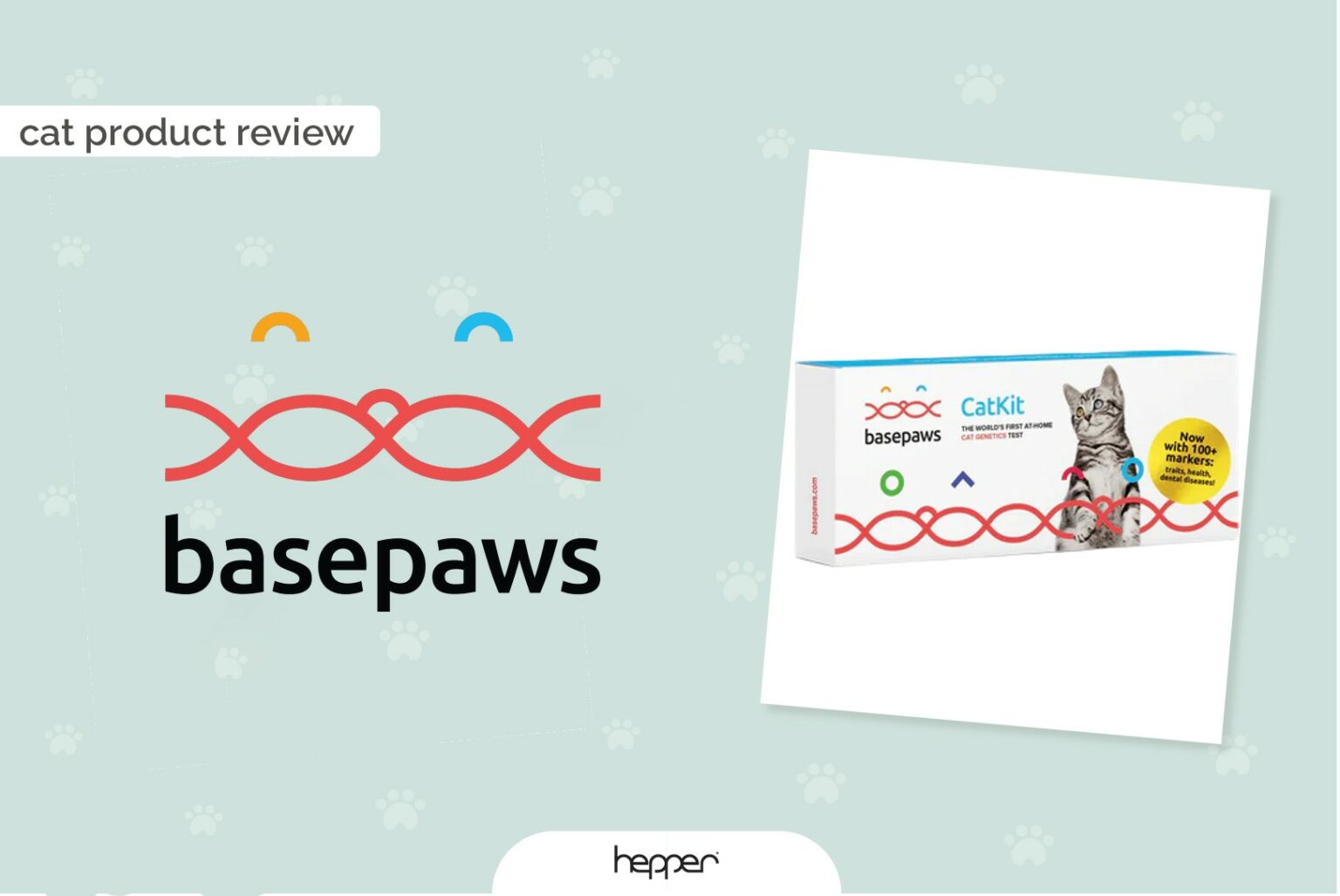 View of Basepaws Cat Breed + Health DNA Test Review 2026: Our Expert's Opinion ...