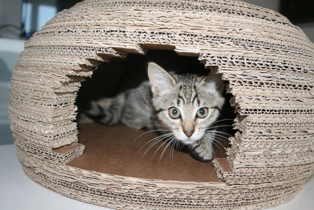 Cardboard cat igloo house