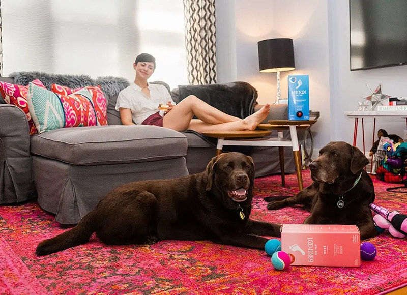 Christmas-Themed Busy Box Enrichment Toy