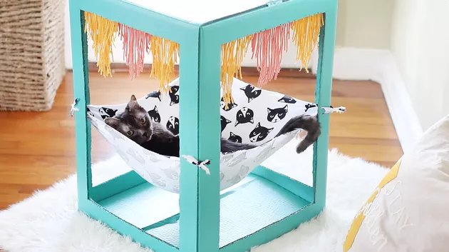 DIY Cardboard Box Hammock