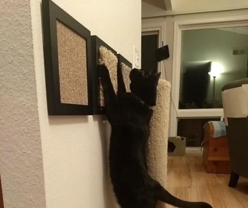 DIY Cat Wall Playgrounds