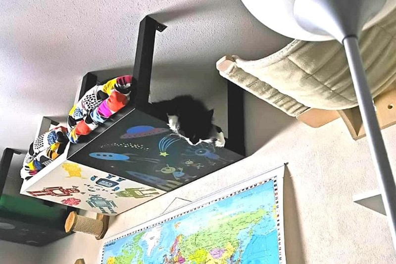 DIY Cat Wall Playgrounds