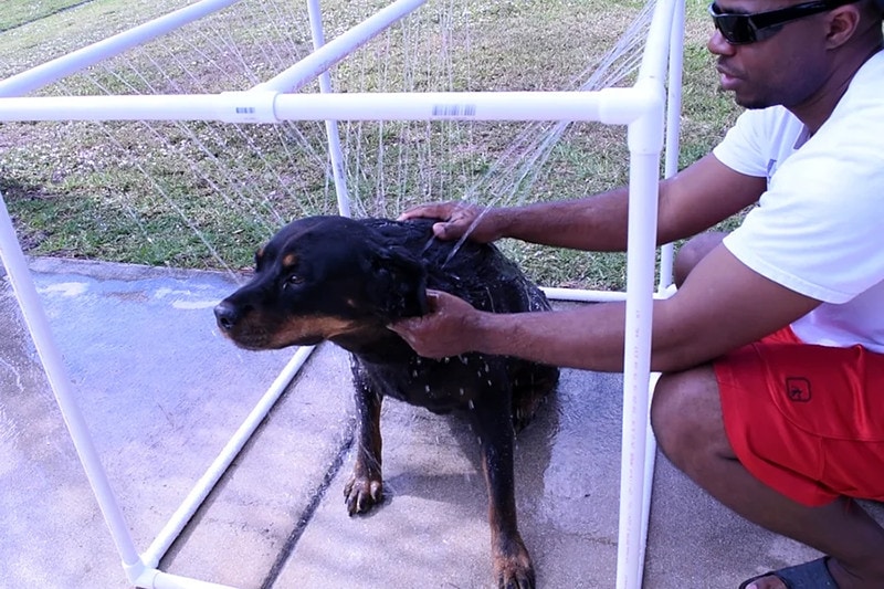 DIY Dog Shower Station from Instructables