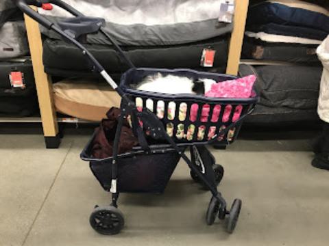 DIY Doggie Stroller