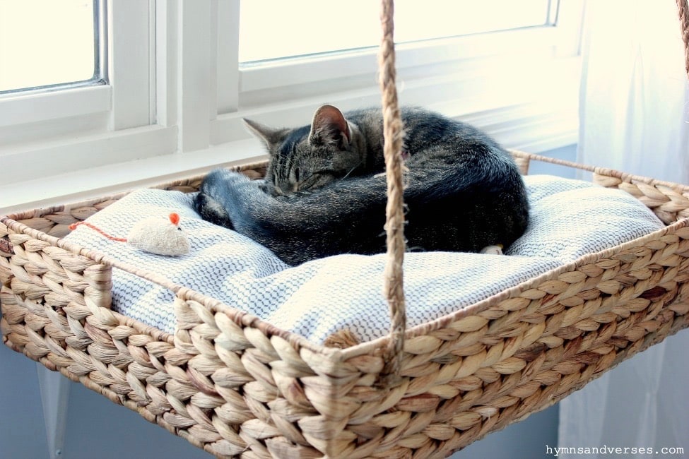 DIY Hanging Basket Hammock