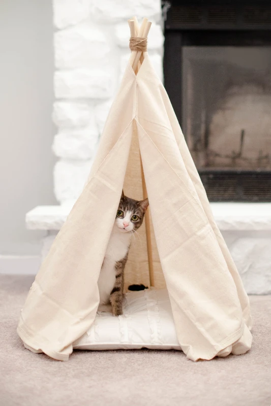 DIY No-Sew Teepee With a Pillow