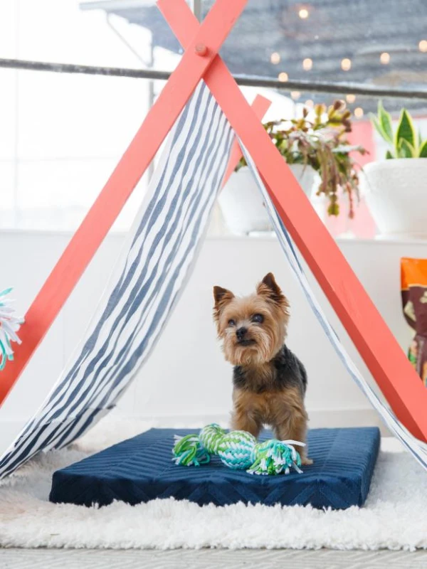 DIY Portable Summer Pet Tent