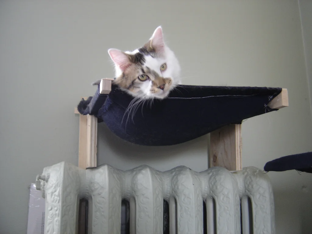 DIY Small and Simple Cat Hammock