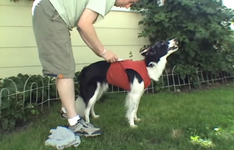DIY Thundershirt Using Chip Clips