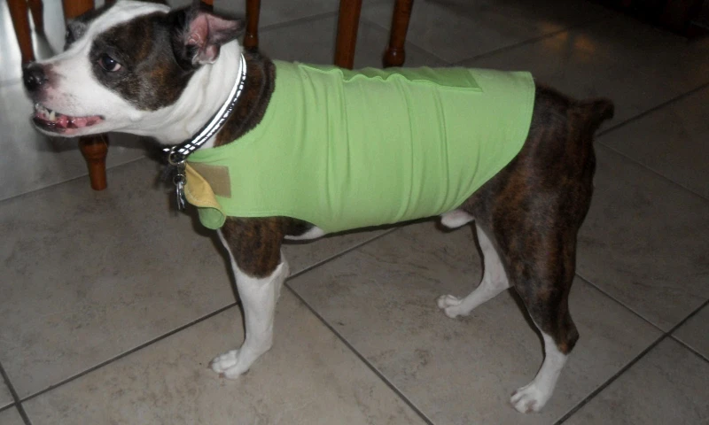 DIY Thundershirt from Old T-shirts