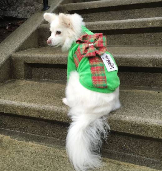 DIY Ugly Christmas Sweater Present Style