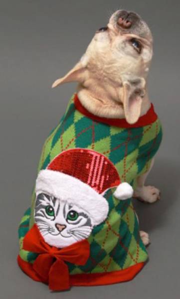 DIY Ugly Christmas Sweater for Your Dog