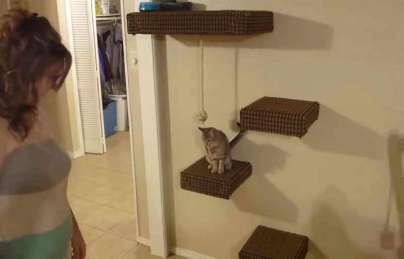 DIY Wall-Mounted Cardboard Cat Tree
