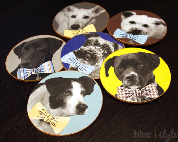 DIY christmas gifts for dogs