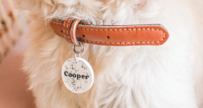 DIY christmas gifts for dogs