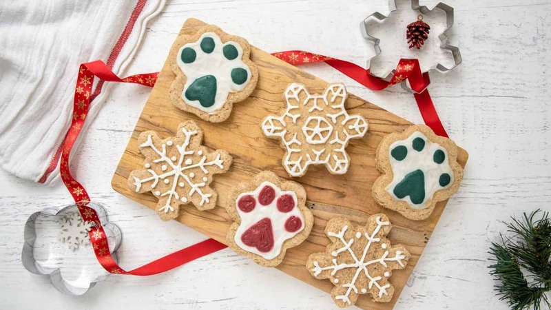 DIY christmas gifts for dogs