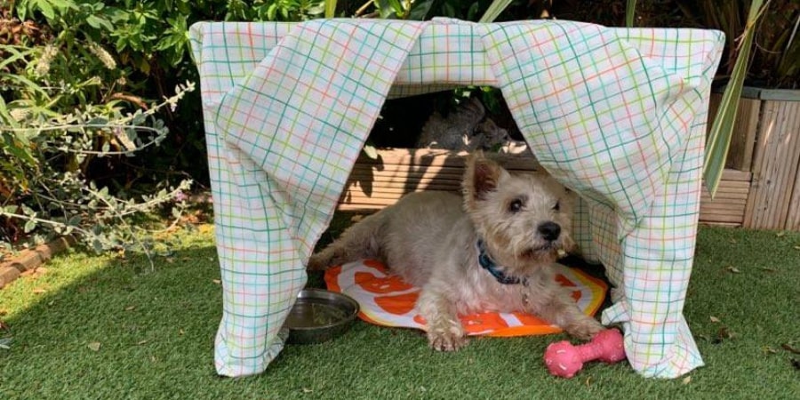 https://www.pdsa.org.uk/what-we-do/blog/how-to-make-a-diy-outdoor-sun-shelter-for-your-pet