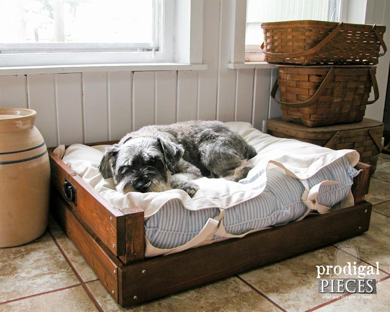 DIY raised dog bed