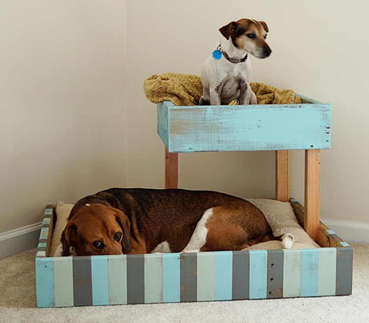 DIY raised dog bed