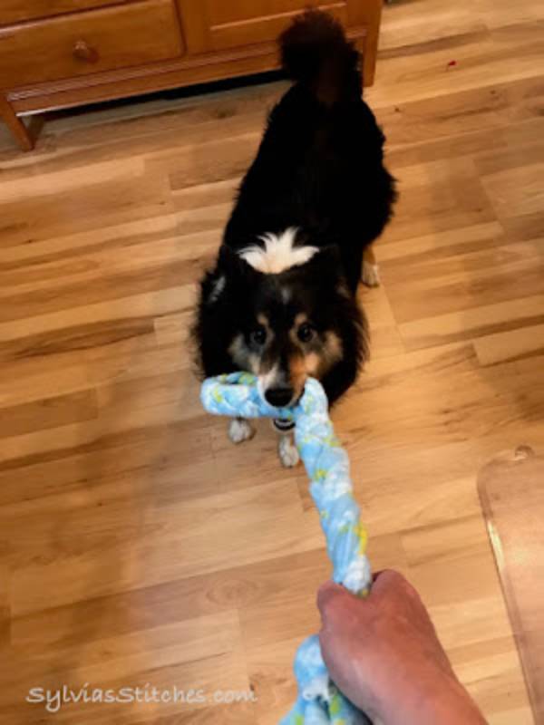 DIY no sew dog toys service project