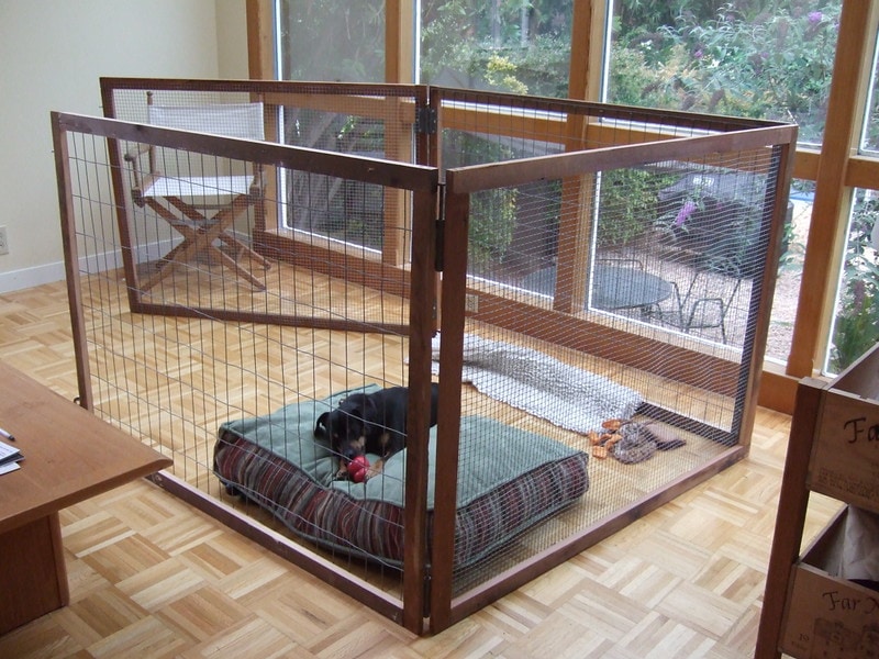 Dog inside a DIY playpen