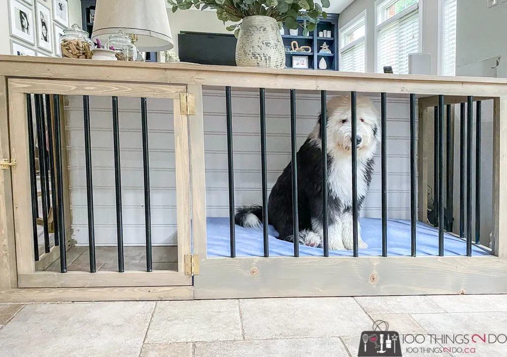 Giant Dog Crate
